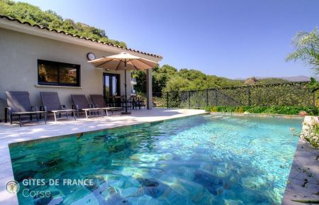 Gite à Vallecalle, Grand-Bastia, Haute-Corse, labellisé Gites de France : la piscine Gîte n°64481 Vallecalle - Corse - Gite à Vallecalle, Grand-Bastia, Haute-Corse, labellisé Gites de France : la piscine
