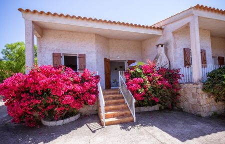 Gîte n°20454 Porto-Vecchio - Corse - photo