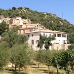 gite - Casale Olmia - Alticeli - MONCALE - Corse