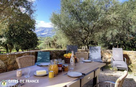 G&icirc;te n&deg;57081 Lumio - Corse - G&icirc;te &agrave; Lumio, Balagne, Haute-Corse, labellis&eacute; G&icirc;tes de France : la terrasse