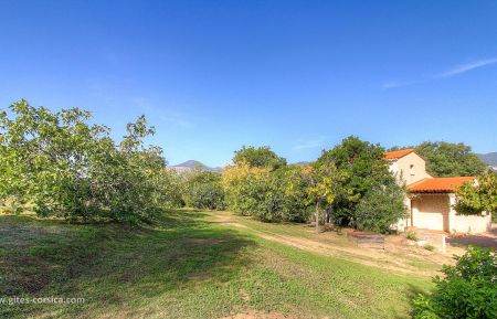 Gite à Peri, Grand Ajaccio, Corse du Sud, Corse, labellisé Gîtes de France : la maison et les figuiers Gîte n°10791 Plaine de peri - Corse - Gite à Peri, Grand Ajaccio, Corse du Sud, Corse, labellisé Gîtes de France : la maison et les figuiers