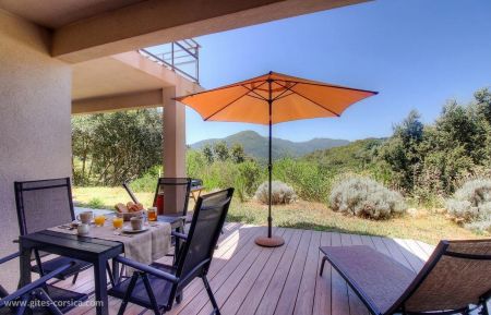G&icirc;te n&deg;25911 Sart&egrave;ne - Corse - G&icirc;te &agrave; Sart&egrave;ne, en Corse du Sud, labellis&eacute; Gites de France : la terrasse et la vue