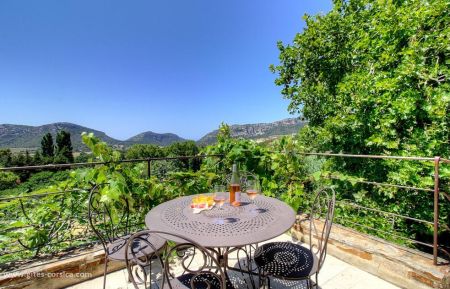 Gite à Patrimonio, Grand-Bastia, Haute-Corse, labellisé Gites de France: la terrasse Gîte n°60791 Patrimonio - Corse - Gite à Patrimonio, Grand-Bastia, Haute-Corse, labellisé Gites de France: la terrasse