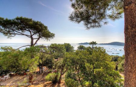 G&icirc;te n&deg;27562 Sainte lucie de porto vecchio - Corse - photo