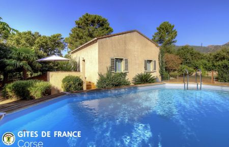 G&icirc;te n&deg;21772 San-Gavino-di-Carbini - Corse - G&icirc;te &agrave; Porto-Vecchio, le sud corse, labellis&eacute; G&icirc;tes de France : la maison et la piscine