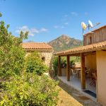 G&icirc;te &agrave; Bastelica, le Grand Ajaccio, le jardin

