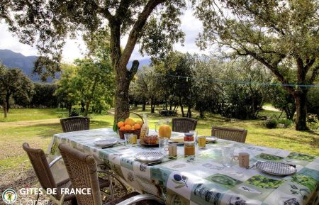 G&icirc;te n&deg;57083 Lumio - Corse - G&icirc;te &agrave; Lumio, Balagne, Haute-Corse, labellis&eacute; G&icirc;tes de France : la terrasse