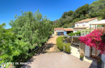 G&icirc;te n&deg;23361 Alata - Corse - photo
