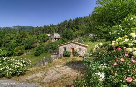 G&icirc;te n&deg;20091 Palneca - Corse - G&icirc;te &agrave; Palneca, le grand Valinco, en Corse du Sud, labellis&eacute; G&icirc;tes de France : la maison