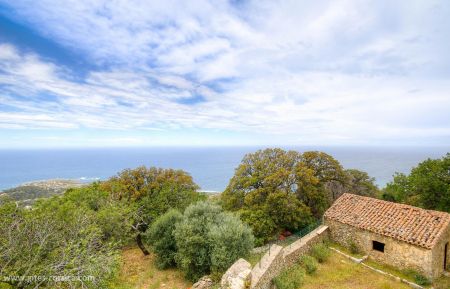 Gîte à Corbara, Balagne, Haute-Corse, labellisé Gîtes de France : la vue de la terrasse Gîte n°50132 Corbara - Corse - Gîte à Corbara, Balagne, Haute-Corse, labellisé Gîtes de France : la vue de la terrasse