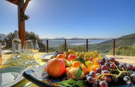 G&icirc;te n&deg;28541 Olmeto - Corse - G&icirc;te-28541-Olmeto- le -grand-valinco-la terrasse