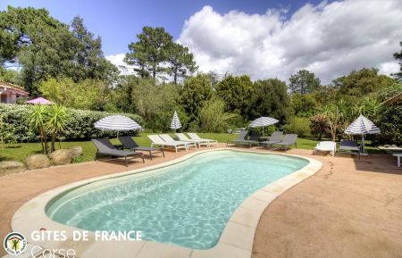 G&icirc;te n&deg;23020 Porto-Vecchio - Corse - G&icirc;te &agrave; Porto-Vecchio, le sud Corse, labellis&eacute; G&icirc;tes de France :la piscine