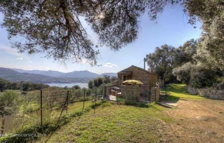 G&icirc;te n&deg;22786 Olmeto - Corse - Gite &agrave; Olmeto, le Grand Valinco, Corse du Sud, labellis&eacute; G&icirc;tes de France : le gite