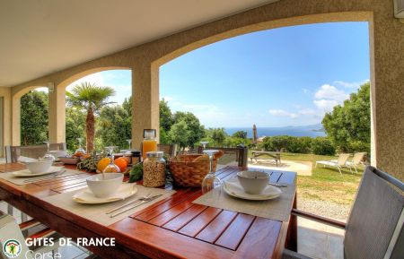 G&icirc;te n&deg;28341 Calcatoggio - Corse - Gite &agrave; Calcatoggio, l'ouest Corse, Corse du Sud, labellis&eacute; Gite de France : la terrasse