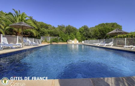 G&icirc;te n&deg;10678 Sainte lucie de porto vecchio - Corse - Gite &agrave; Sainte Lucie de Porto Vecchio, Sud Corse, Corse du Sud, labellis&eacute; Gites de France : la piscine