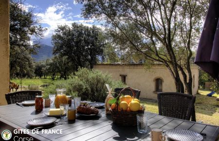 G&icirc;te n&deg;57082 Lumio - Corse - G&icirc;te &agrave; Lumio, Balagne, Haute-Corse, labellis&eacute; G&icirc;tes de France : la terrasse