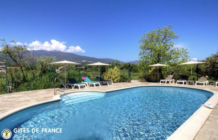 G&icirc;te n&deg;56572 Lucciana - Corse - Gite &agrave; Lucciana, Grand Bastia, Haute-Corse, labellis&eacute; Gites de France: la piscine commune