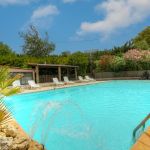 G&icirc;te &agrave; Erbajolo, centre corse, Haute-Corse, labellis&eacute; G&icirc;tes de France : la piscine