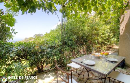 Gîte à Lama, Balagne, Haute-Corse, labellisé Gîtes de France : la terrasse Gîte n°57102 Lama - Corse - Gîte à Lama, Balagne, Haute-Corse, labellisé Gîtes de France : la terrasse