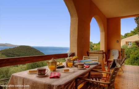 Gîte à Farinole, Grand Bastia, Haute-Corse, labellisé Gîtes de France : terrasse vue mer Gîte n°60411 Farinole - Corse - Gîte à Farinole, Grand Bastia, Haute-Corse, labellisé Gîtes de France : terrasse vue mer