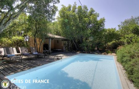 G&icirc;te n&deg;25491 San-Gavino-di-Carbini - Corse - G&icirc;te &agrave; Araggio, Sud-Corse, Corse-du-sud, labellis&eacute; G&icirc;tes de France :  la piscine