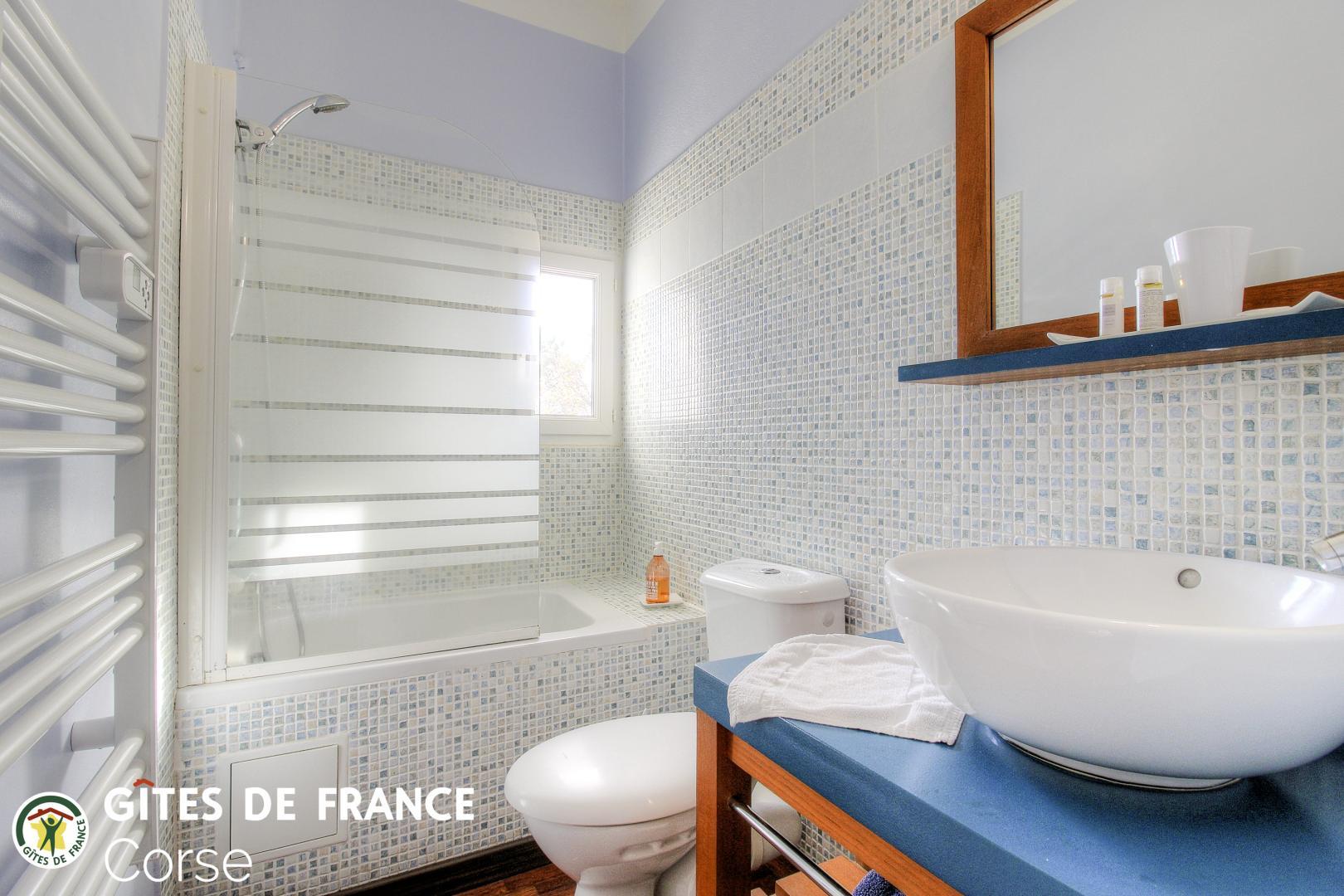 Chambres d'hôtes à Porto Vecchio - L'Ospedale, le Sud Corse, Corse du Sud, labellisées Gîtes de France: La salle d'eau de la chambre de Marie photo 15