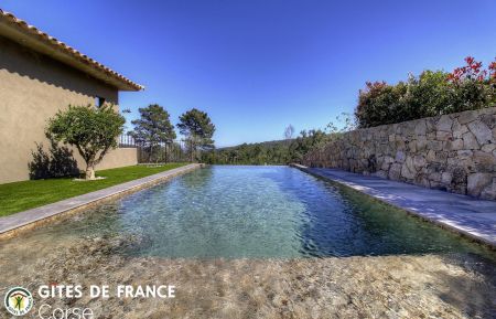 G&icirc;te n&deg;27311 Zonza - Corse - G&icirc;te &agrave; Sainte Lucie de Porto Vecchio, le Sud Corse, en Corse du sud, labellis&eacute; G&icirc;tes de France : la piscine commune