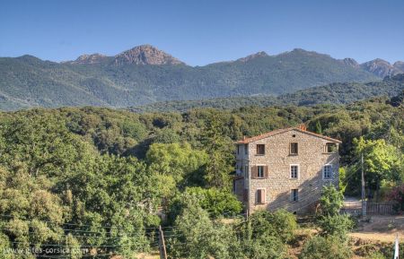 G&icirc;te n&deg;17161 Azilone-Ampaza - Corse - photo