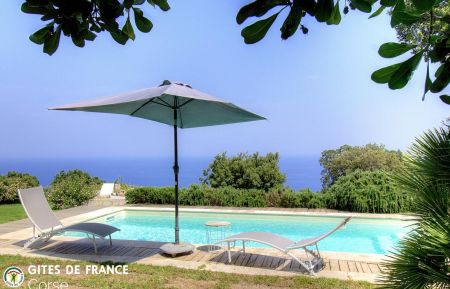 Chambre d'h&ocirc;tes n&deg;57251 Brando - Corse - Maison d'h&ocirc;tes &agrave; Brando, Grand Bastia, Haute-Corse, labellis&eacute;e G&icirc;tes de France Corse : la piscine
