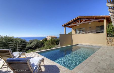 G&icirc;te n&deg;20234 Tizzano - Corse - G&icirc;te &agrave; Tizzano, Grand Valinco, Corse du Sud, labellis&eacute; G&icirc;tes de France : la piscine