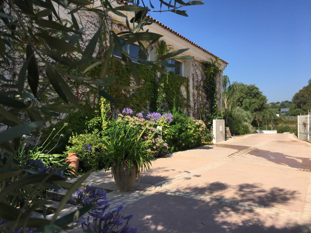 photo 51