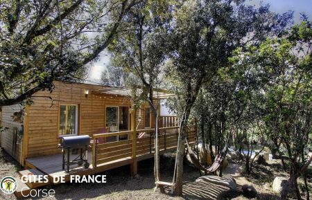 Cabane en bois28232 Sainte lucie de porto vecchio - Corse - Gite &agrave; Sainte Lucie de Porto-Vecchio, le Sud Corse, Labellis&eacute; G&icirc;tes de France : le gite et la terrasse
