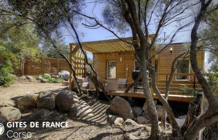 Cabane en bois28231 Sainte lucie de porto vecchio - Corse - Gite &agrave; Sainte Lucie de Porto-Vecchio, le Sud Corse, Labellis&eacute; G&icirc;tes de France : la terrasse et le gite