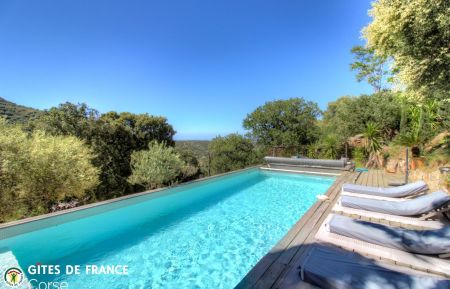 G&icirc;te n&deg;61431 Santa-Reparata-di-Balagna - Corse - G&icirc;te &agrave; Santa Reparata di Balagna, Balagne, Haute-Corse, labellis&eacute; G&icirc;tes de France : terrasse et piscine
