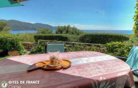 G&icirc;te n&deg;21702 Tiuccia - Corse - G&icirc;te &agrave; Tiuccia, la c&ocirc;te Ouest, Corse-du-Sud, labellis&eacute; G&icirc;tes de France : la terrasse