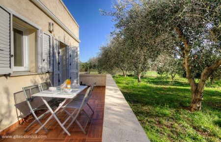 Gîte à Taglio-Isolaccio, côte orientale, Haute-Corse, labellisé Gîtes de France : la terrasse Gîte n°62061 Taglio-Isolaccio - Corse - Gîte à Taglio-Isolaccio, côte orientale, Haute-Corse, labellisé Gîtes de France : la terrasse