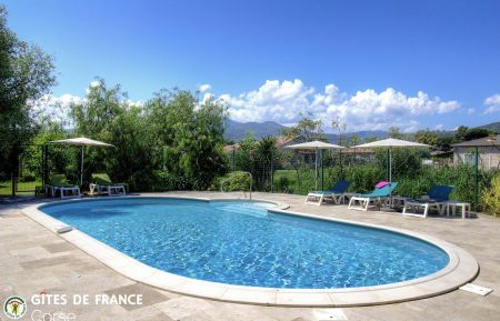 G&icirc;te n&deg;56571 Lucciana - Corse - photo