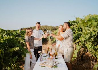 AU COEUR DES VIGNES : BALADE ET D&Eacute;GUSTATION AU CR&Eacute;PUSCULE&nbsp;(PERALDI) MEZZAVIA - AU COEUR DES VIGNES : BALADE ET D&Eacute;GUSTATION AU CR&Eacute;PUSCULE
